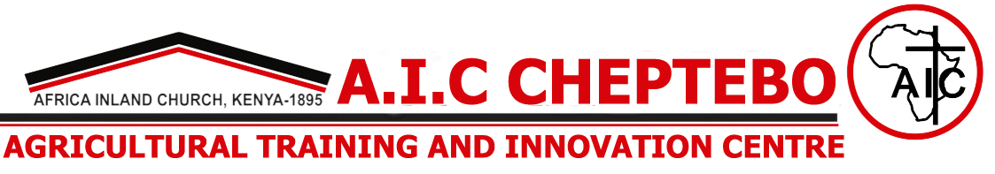 CATIC Logo