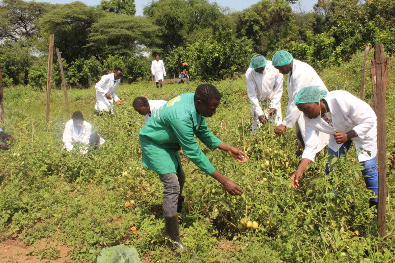 Sustainable Agriculture for rural development Level 4