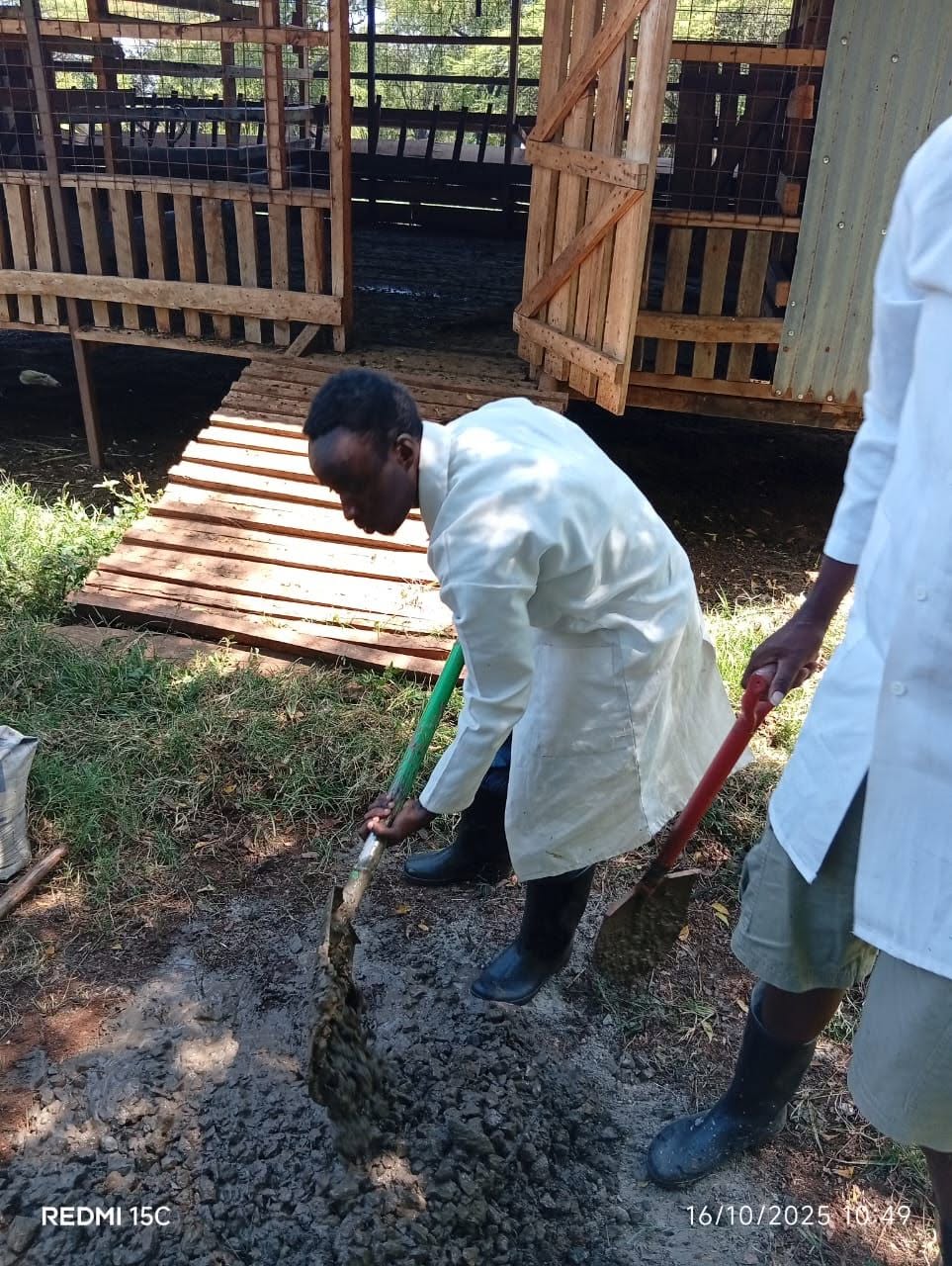 Development of dairy farm structure (Water Trough), by Dairy attendance Trainees.