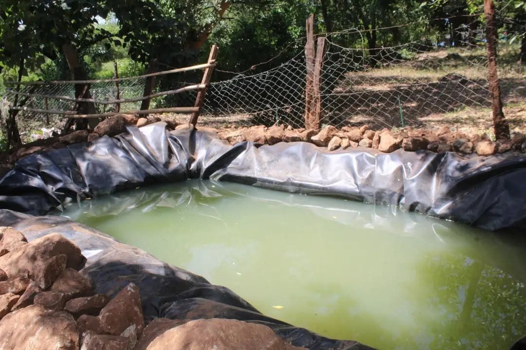 Newly established Fish farm, By our Agricultural Trainees. Congratulations👏👏