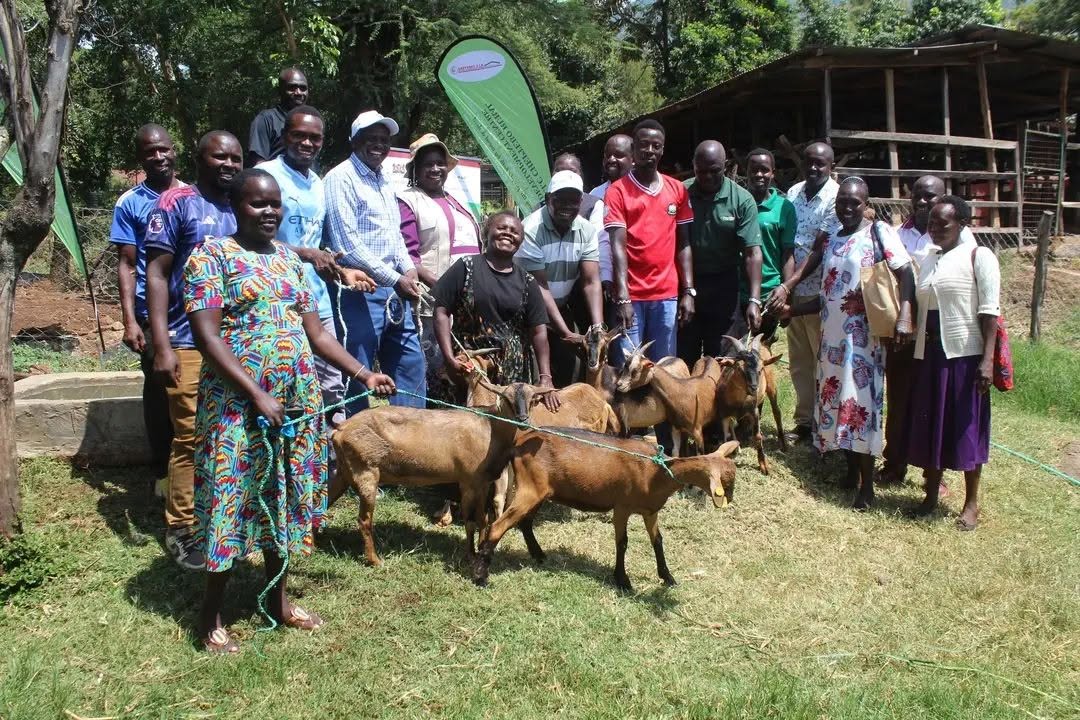 Today, we witnessed a handover exercise where we passed over five female does (Kenya alpine dairy goats & and one buck to different groups of farmers from Tambach ward in Elgeyo Marakwet County. We are greatful to Kenya livestock commercialization project KELCOP (Elgeyo Marakwet County) for choosing our institution as a dairy goat breeder. The initiative aims to support the Government’s transformation agenda in increasing rural farmers’ incomes and strengthening food and nutrition security.