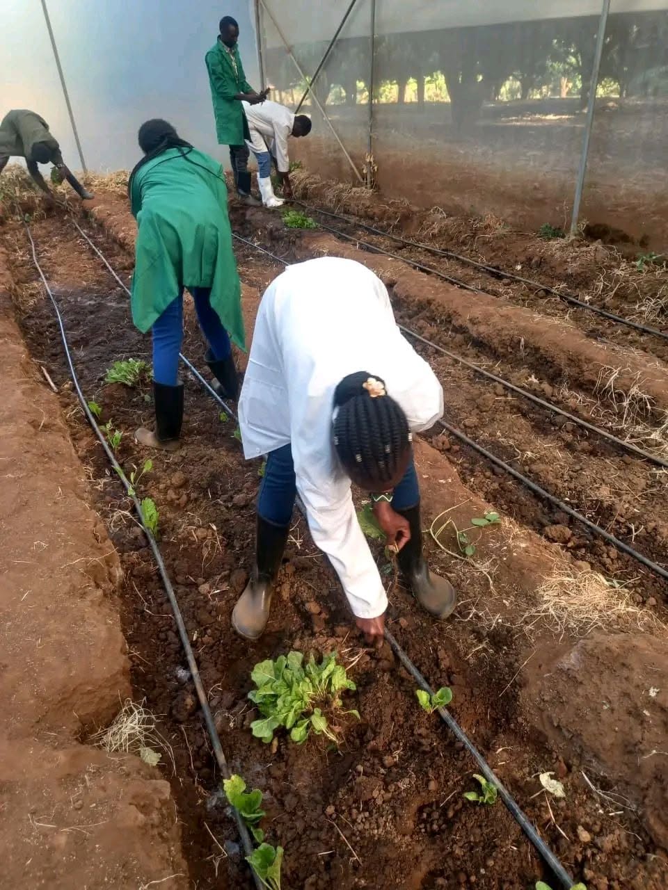 PRACTICALS photo 5