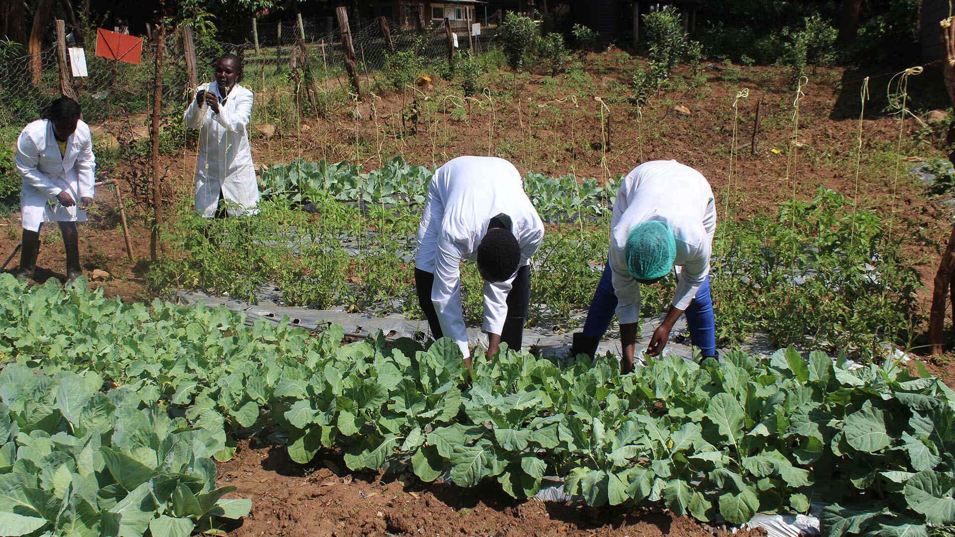 Excellence in Agricultural Education